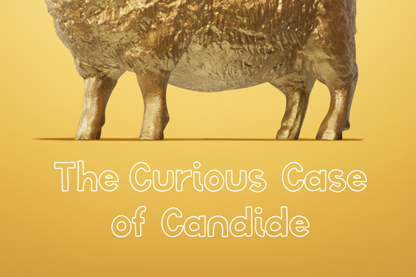 The Curious Case of Candide thumbnail