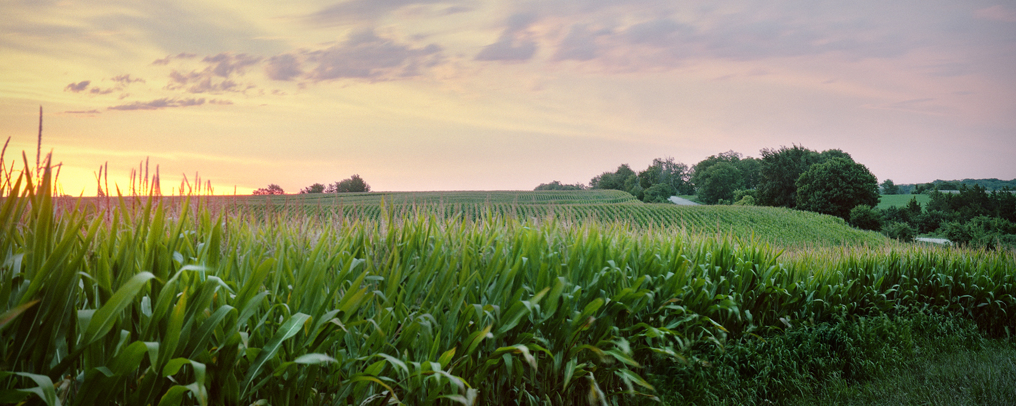 a-thousand-acres-des-moines-metro-opera